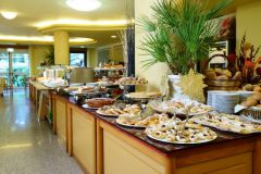 Hotel Oasis 15